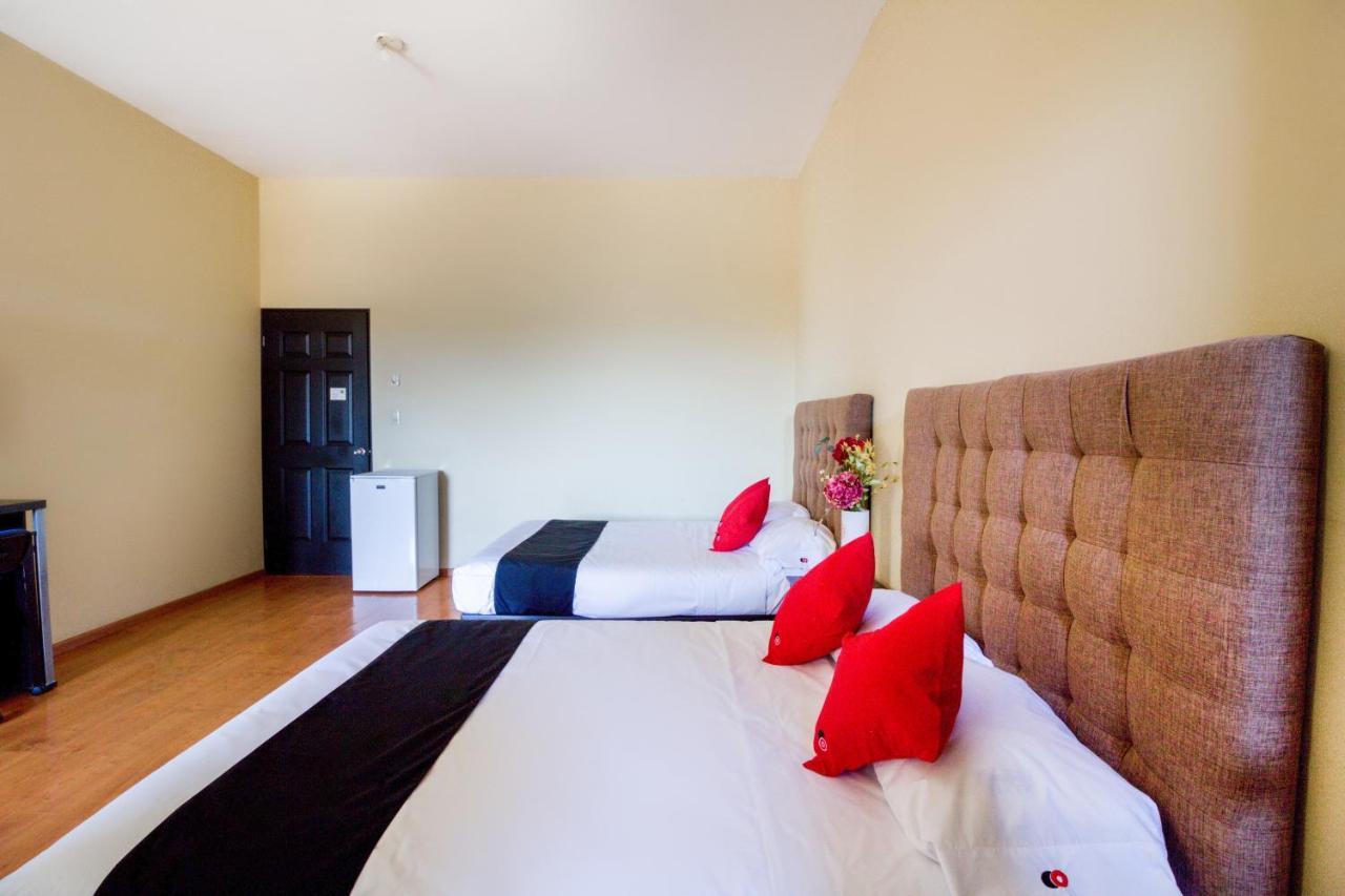 Ecohabit, Monterrey Hotel Apodaca Ngoại thất bức ảnh
